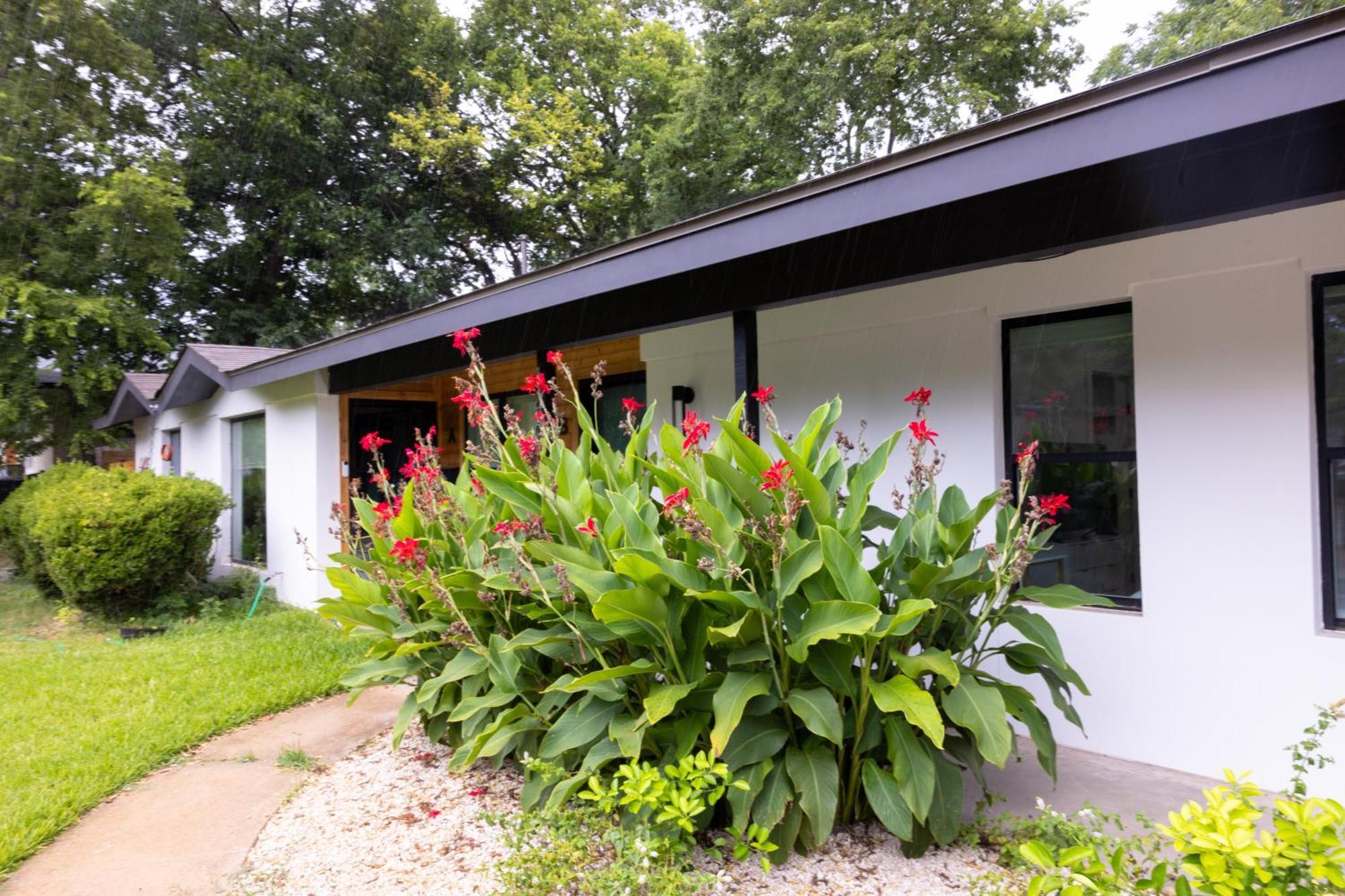 Luxe Retreat, Modern Gem With Private Backyard Oasis Austin